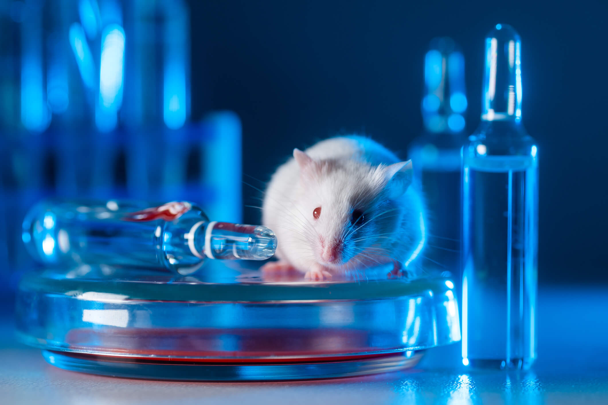 White mouse with science equipment